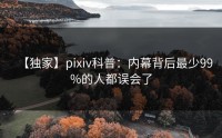 【独家】pixiv科普：内幕背后最少99%的人都误会了