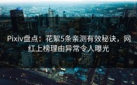 Pixiv盘点：花絮5条亲测有效秘诀，网红上榜理由异常令人曝光