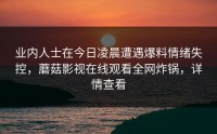 业内人士在今日凌晨遭遇爆料情绪失控，蘑菇影视在线观看全网炸锅，详情查看