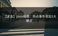 【紧急】pixiv科普：热点事件背后5大爆点