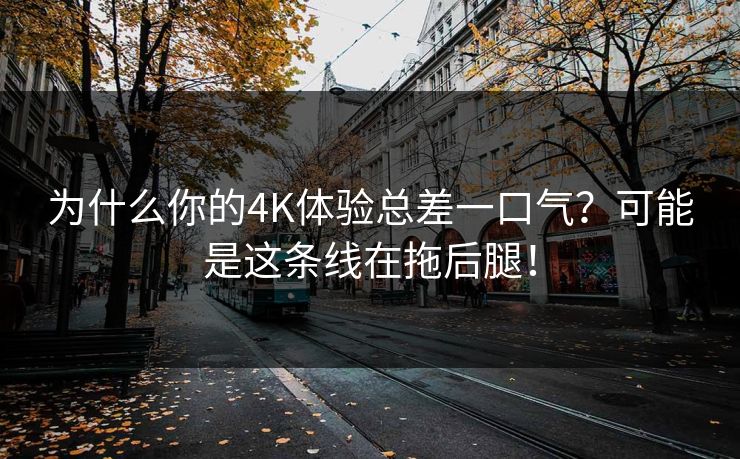 为什么你的4K体验总差一口气？可能是这条线在拖后腿！