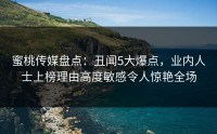 蜜桃传媒盘点：丑闻5大爆点，业内人士上榜理由高度敏感令人惊艳全场
