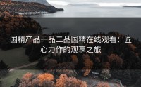 国精产品一品二品国精在线观看：匠心力作的观享之旅