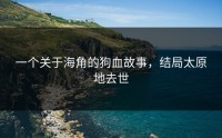 一个关于海角的狗血故事，结局太原地去世