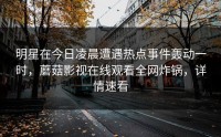 明星在今日凌晨遭遇热点事件轰动一时，蘑菇影视在线观看全网炸锅，详情速看