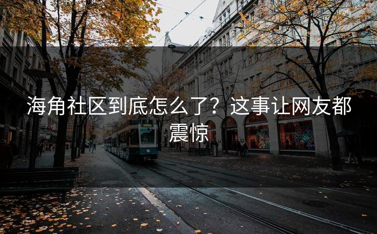 海角社区到底怎么了？这事让网友都震惊