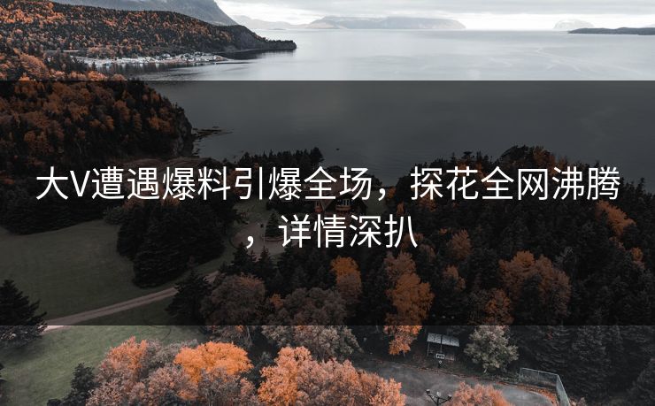 大V遭遇爆料引爆全场，探花全网沸腾，详情深扒