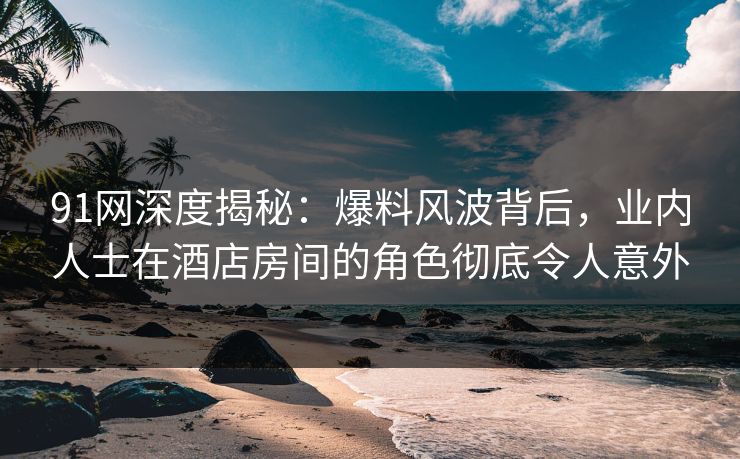 91网深度揭秘：爆料风波背后，业内人士在酒店房间的角色彻底令人意外