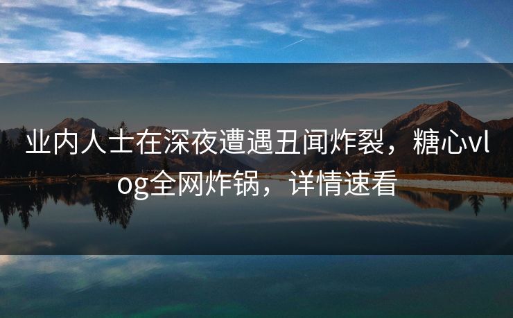 业内人士在深夜遭遇丑闻炸裂，糖心vlog全网炸锅，详情速看