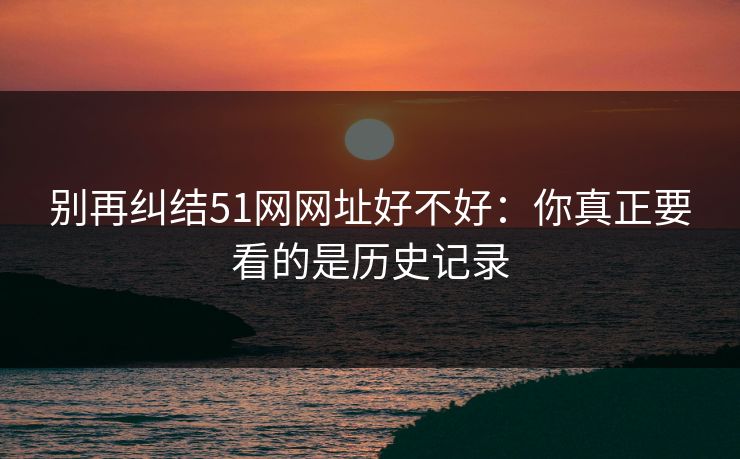 别再纠结51网网址好不好：你真正要看的是历史记录